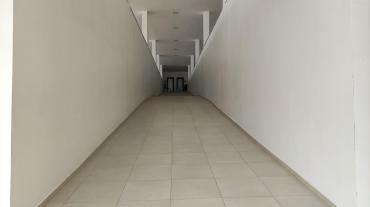 1689168232374.jpg