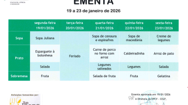 EMENTA DE 19 A 23 DE JANEIRO