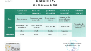 EMENTA DE 23 A 27 DE JUNHO DE 2025