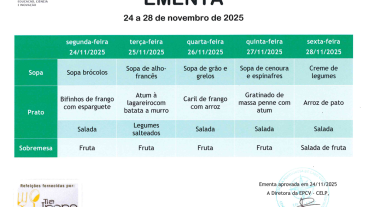 EMENTA DE 24 A 28 DE NOVEMBRO