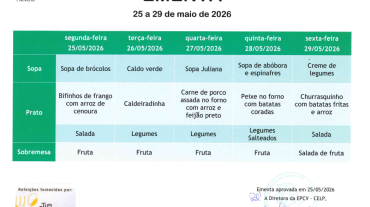 EMENTA DE 25 A 29 DE MAIO