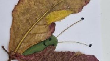 Imagem17.jpg