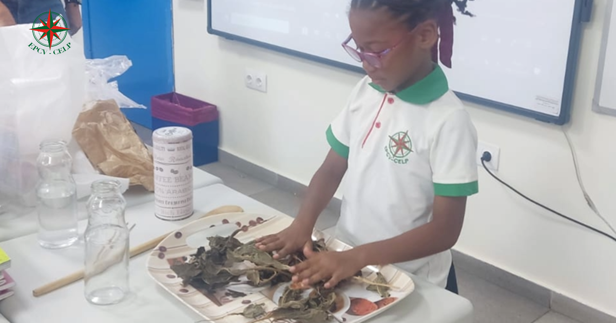 Oficina de Foley Sounds