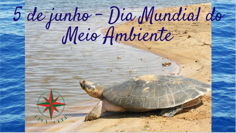 5 de junho - Dia Mundial do Meio Ambiente